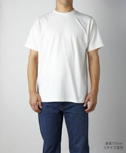 コットンライクドライTシャツ（リサイクルポリ50%）/身長175cm Lサイズ着用