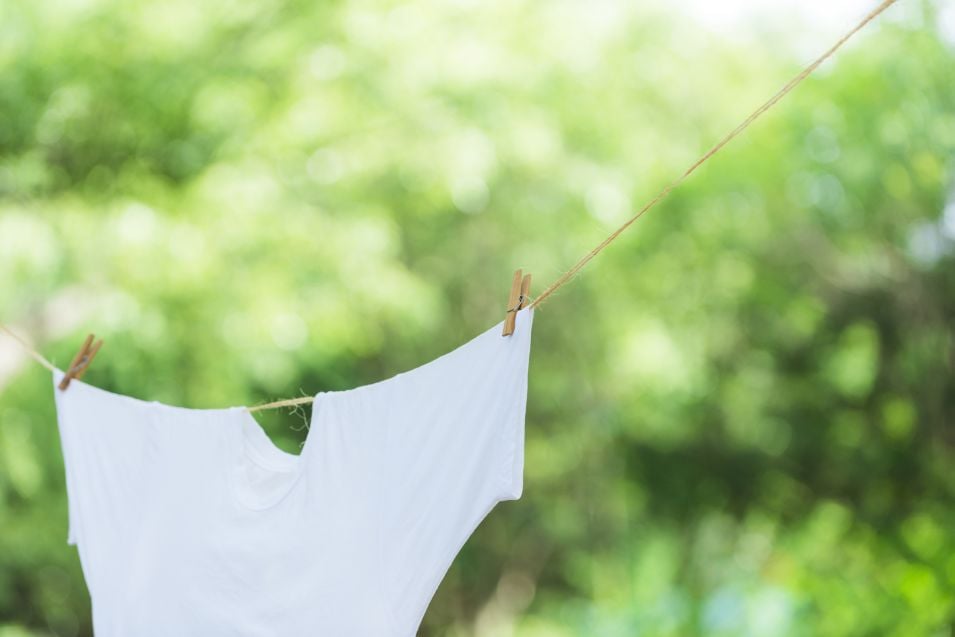 Tシャツの寿命は何年?カギを握るのは洗濯の仕方