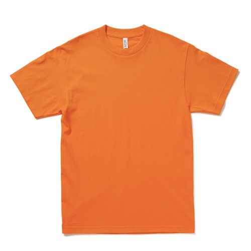 【2024新春福袋】 ALSTYLE Tシャツ激安通販｜アルスタイル(AAA)卸販売のオレンジパーム トップス