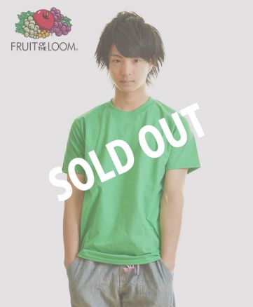FLUIT OF THE LOOM(フルーツオブザルーム)フルーツ ベーシックTシャツ