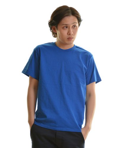 フルーツ ベーシックTシャツ/20ロイヤル  Mサイズ メンズ 174cm