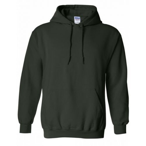 US規格】希少 GILDAN 胸ロゴ EAGLES パーカー グレー L