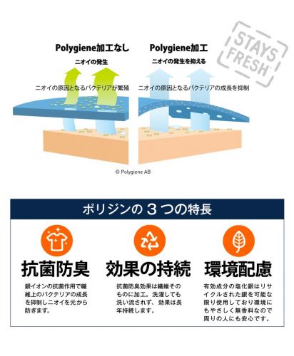 ライフマックス(LIFEMAX)ドライストレッチクルーネックトレーナー(ポリジン加工)/ 防臭抗菌ポリジン加工とは